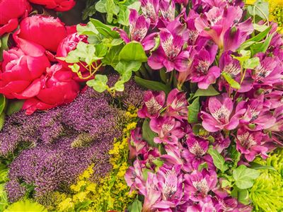 Chelsea Flower Show